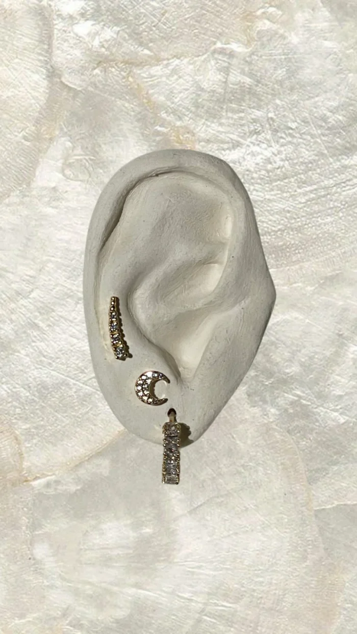 Charming Crescent Moon Earrings - Image 3